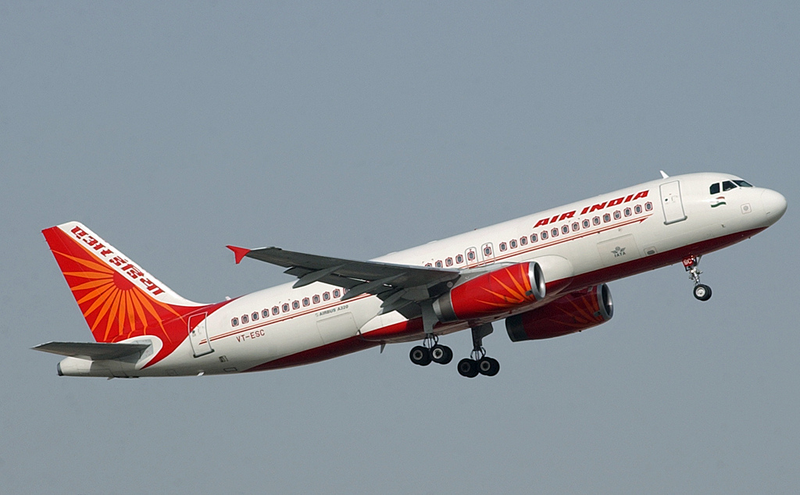 Illustration for article titled Rat Infestation Causes Grounding Of Air India Flight